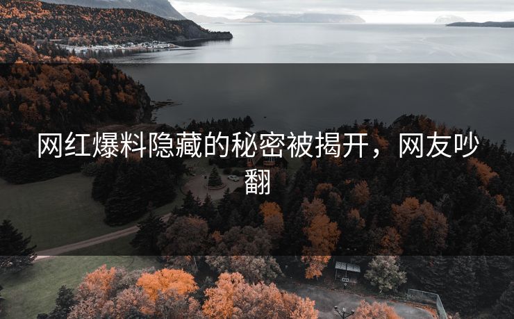 网红爆料隐藏的秘密被揭开,网友吵翻
