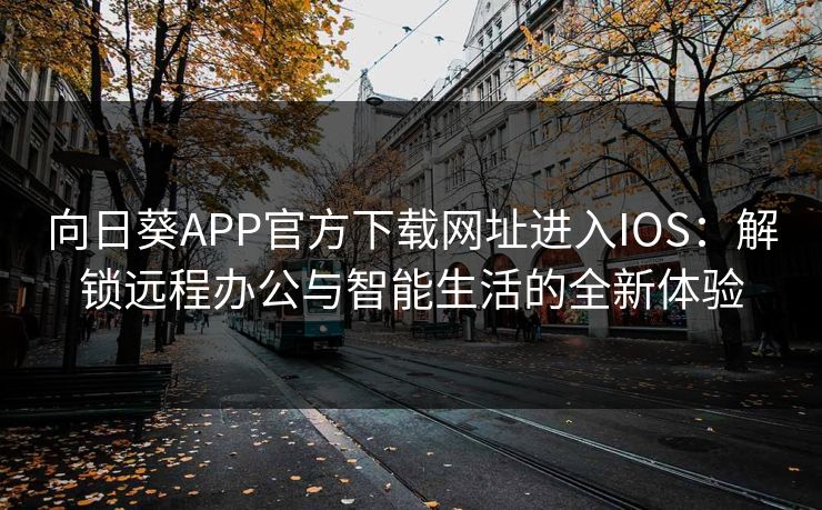 向日葵APP官方下载网址进入IOS：解锁远程办公与智能生活的全新体验