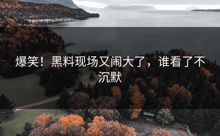 爆笑！黑料现场又闹大了，谁看了不沉默