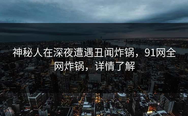 神秘人在深夜遭遇丑闻炸锅，91网全网炸锅，详情了解