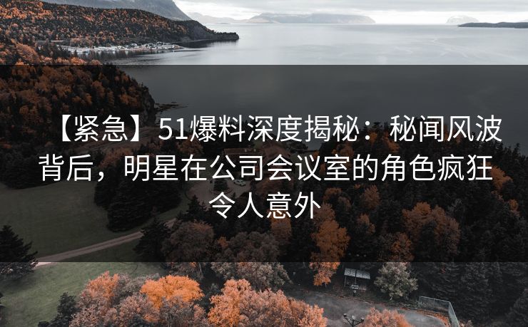 【紧急】51爆料深度揭秘：秘闻风波背后，明星在公司会议室的角色疯狂令人意外
